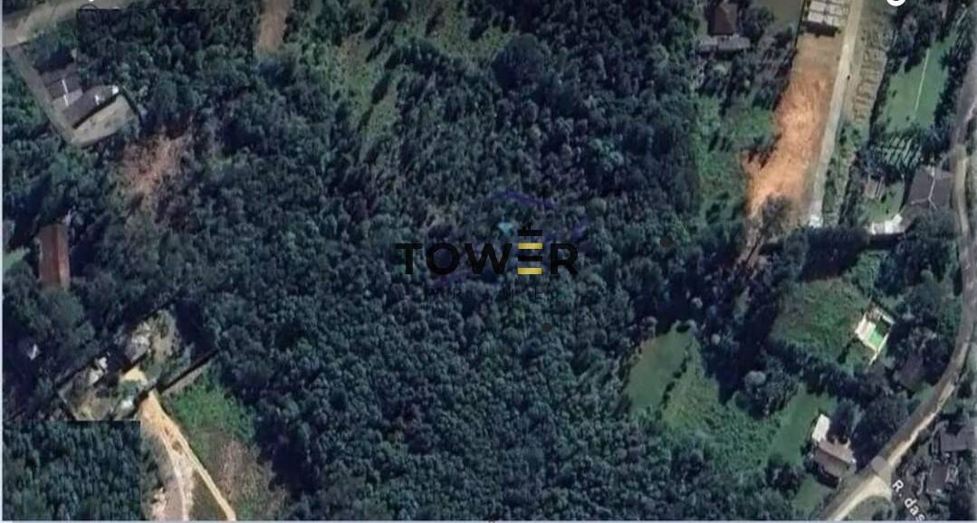 Terreno, 5 hectares - Foto 4